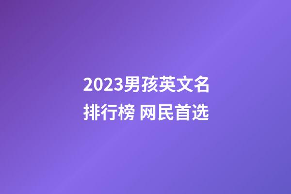 2023男孩英文名排行榜 网民首选